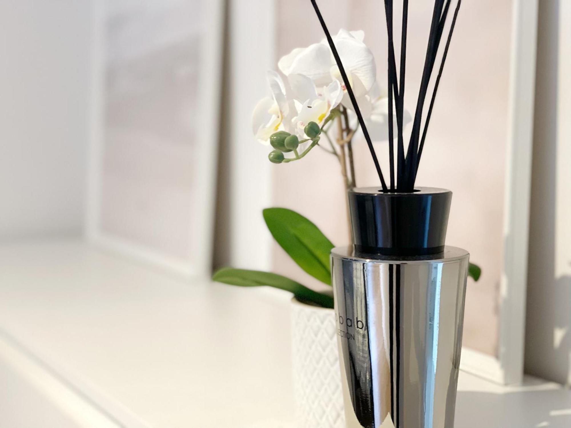 Luxury 3 Bedroom Apartment On The Top Floor With Panoramic View 오스텐드 외부 사진